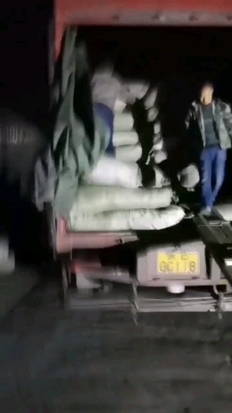 高含量带皮桔梗干个子，干桔梗，桔梗个，水洗皮干桔梗