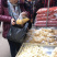 黄金薯片土豆片油炸食品脆香可口展销会跑江湖货源