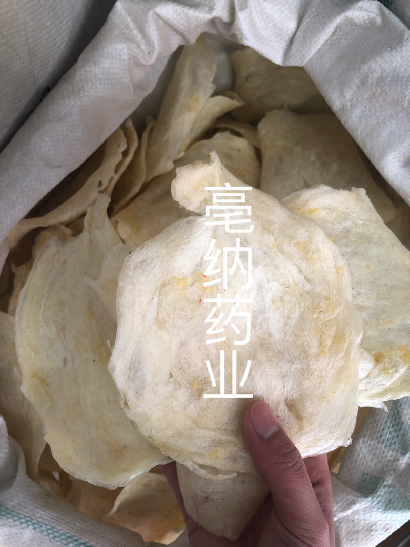 鱼鳔胶中药材鱼鳔1⃣️斤起批无硫无添加