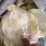 鱼鳔胶中药材鱼鳔1⃣️斤起批无硫无添加