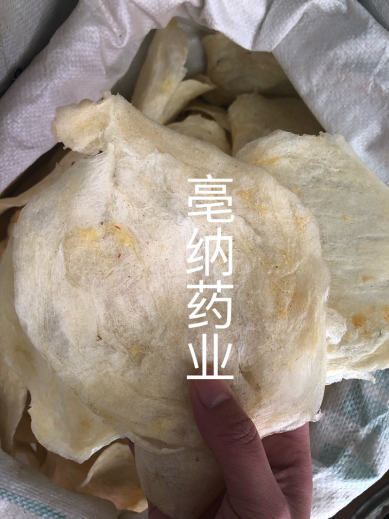 鱼鳔胶中药材鱼鳔1⃣️斤起批无硫无添加