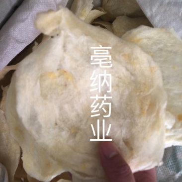 鱼鳔胶中药材鱼鳔1⃣️斤起批无硫无添加