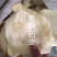 鱼鳔胶中药材鱼鳔1⃣️斤起批无硫无添加