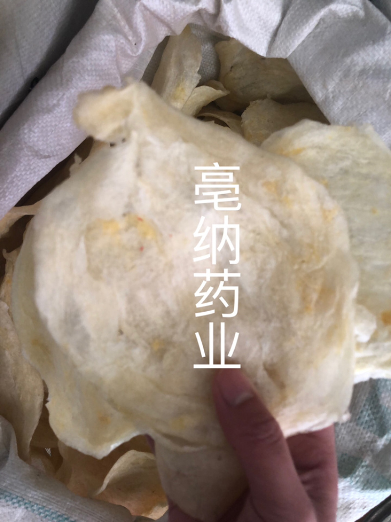 鱼鳔胶中药材鱼鳔1⃣️斤起批无硫无添加