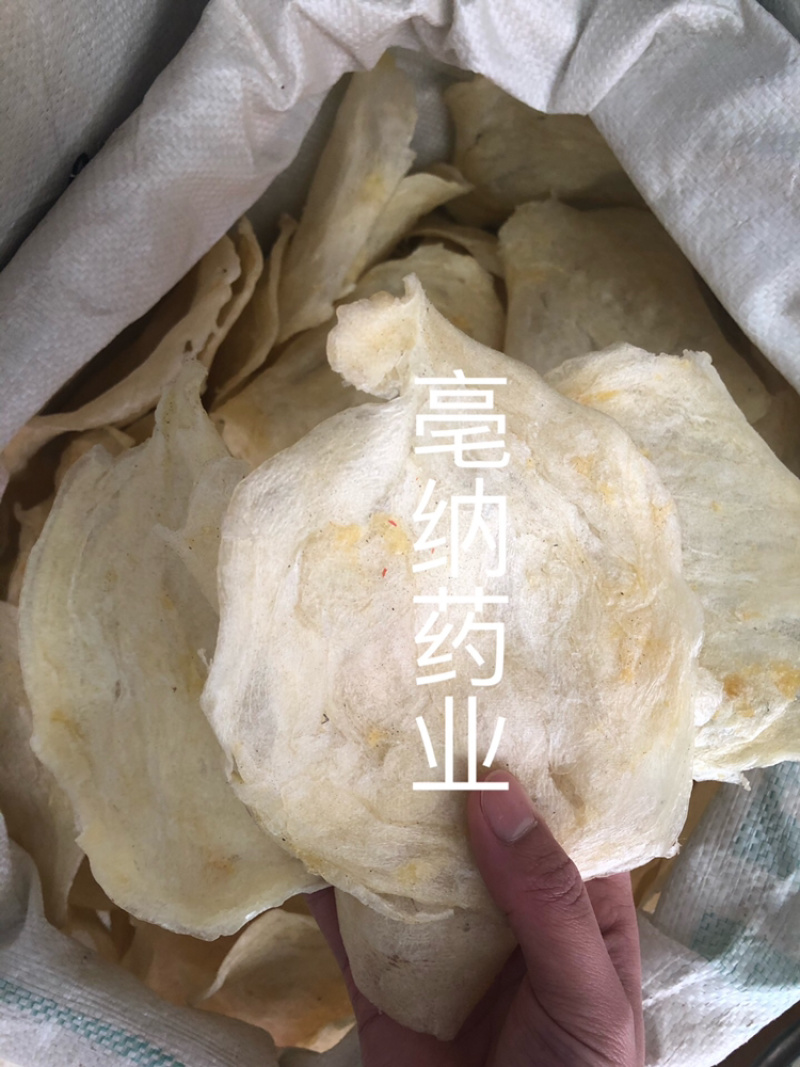鱼鳔胶中药材鱼鳔1⃣️斤起批无硫无添加
