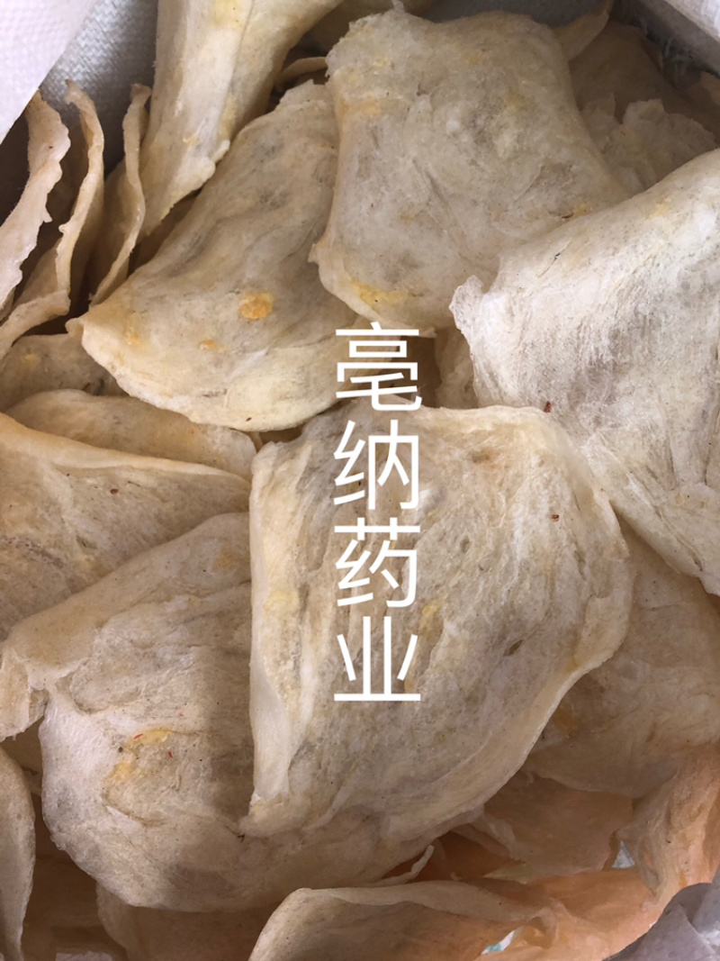 鱼鳔胶中药材鱼鳔1⃣️斤起批无硫无添加
