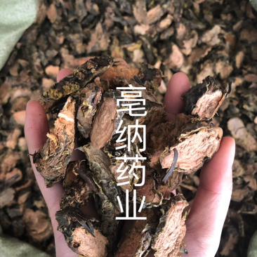 红景天中药材红景天1⃣️公斤起批净货批发