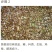 马口鱼(富含多种蛋白脂也是低脂肪的美食。)包邮