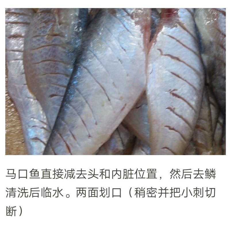 马口鱼(富含多种蛋白脂也是低脂肪的美食。)包邮