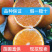 沃柑苗091沃柑假一赔十成活率95%提供技术