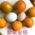 金桔子树苗脆皮金桔苗金桔苗桔子苗苗圃现挖现发