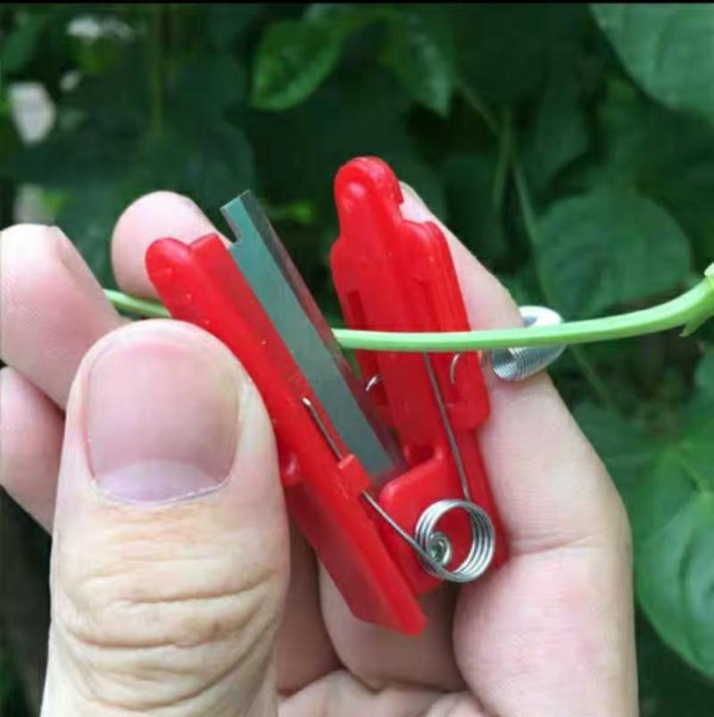 摘菜小铡刀摘花椒神器手指采摘刀摘葡萄豆角采摘器蔬菜刀戒指
