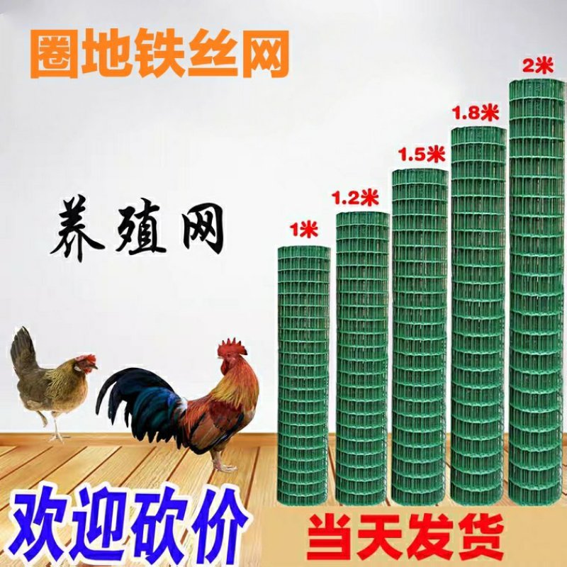 硬塑荷兰网圈地铁丝网养殖围栏隔离防护网鸡鸭鹅栅栏网