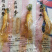 保鲜参袋装各种规格量大从优