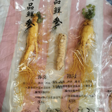 保鲜参袋装各种规格量大从优