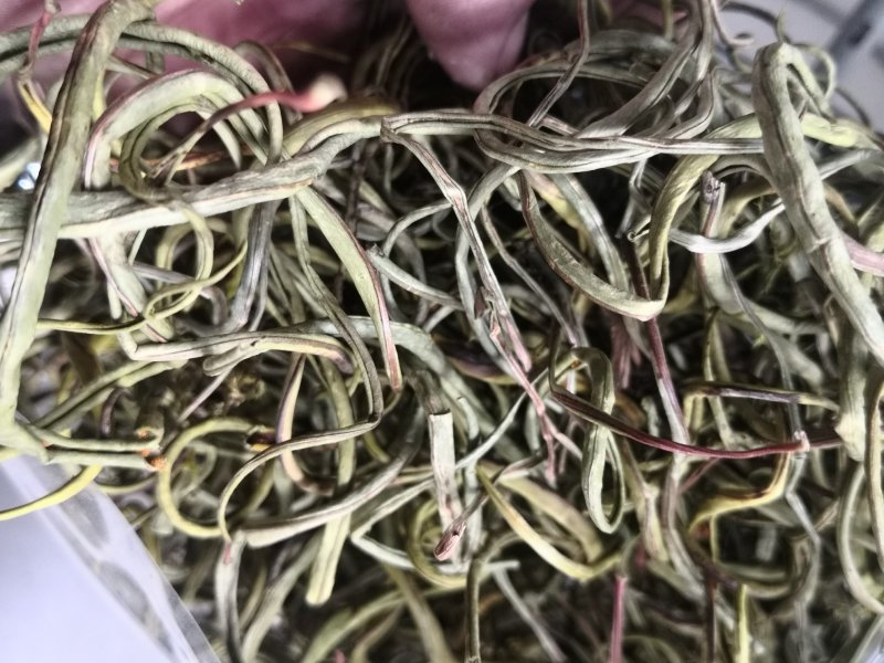 化石草进口500克起批无硫无添加不包邮只做正品