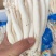 海鲜菇蟹味菇十元模式低价批发量大从优