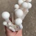 海鲜菇蟹味菇十元模式低价批发量大从优