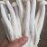 海鲜菇蟹味菇十元模式低价批发量大从优