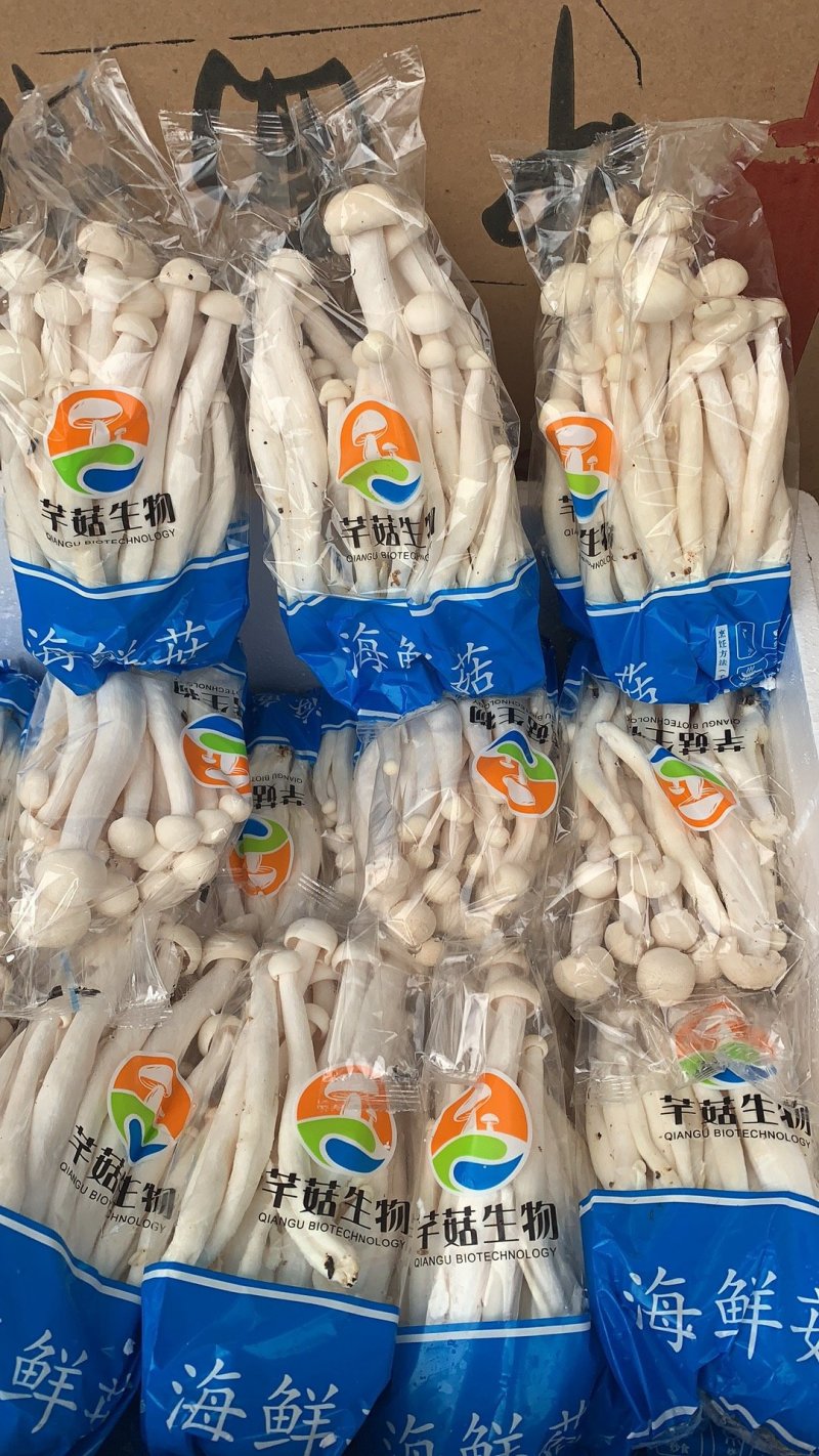 海鲜菇蟹味菇十元模式低价批发量大从优