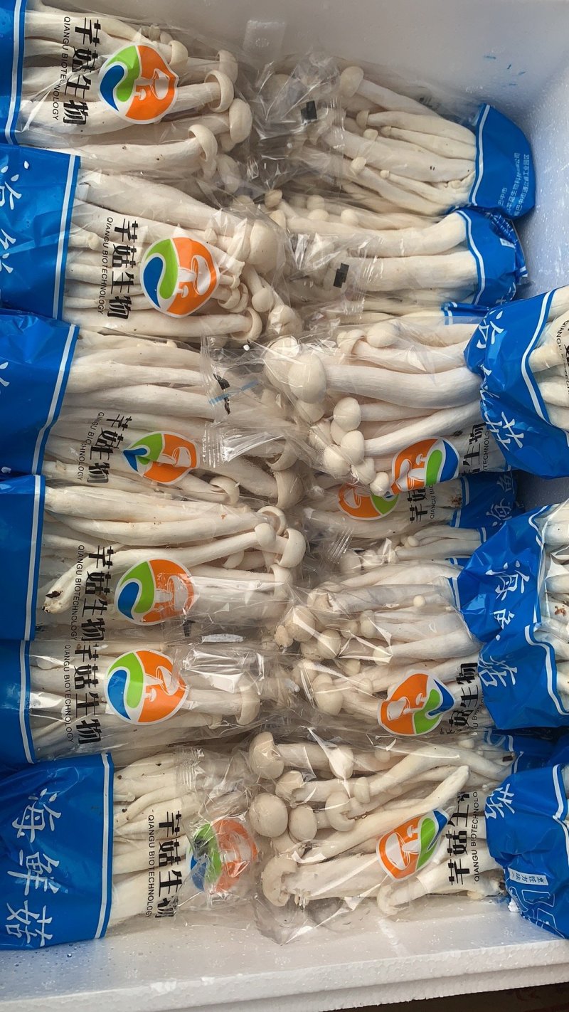 海鲜菇蟹味菇十元模式低价批发量大从优