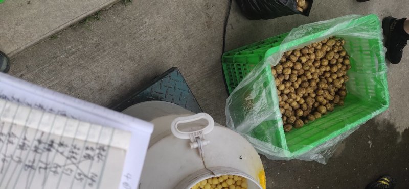 小王小土豆批发零售家乡土特产