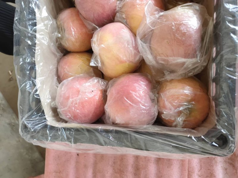 红富士苹果精品货源！质量保证！实力代收，按需包装质量保证