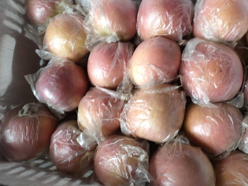 红富士苹果精品货源！质量保证！实力代收，按需包装质量保证