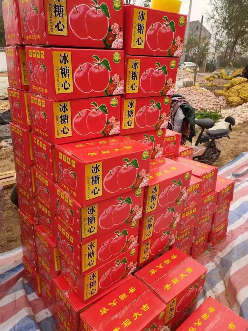 红富士苹果精品货源！质量保证！实力代收，按需包装质量保证