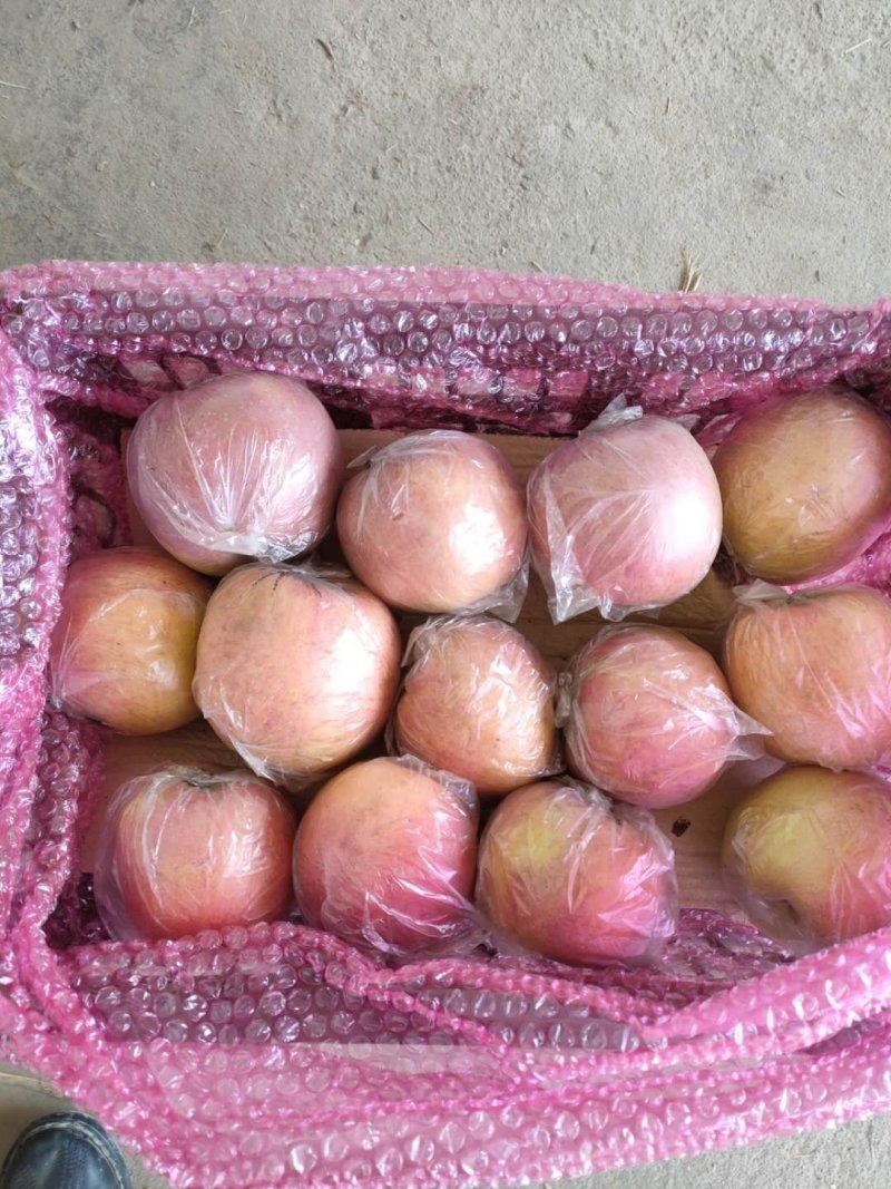 红富士苹果精品货源！质量保证！实力代收，按需包装质量保证