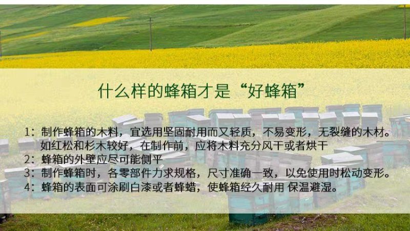 蜜蜂箱中蜂煮蜡标准十框全杉木蜂箱浸蜡高箱意蜂蜂箱养蜂工具