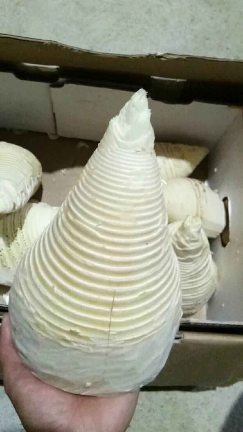 福建笋干新鲜出炉，有质有量，欢迎骚扰