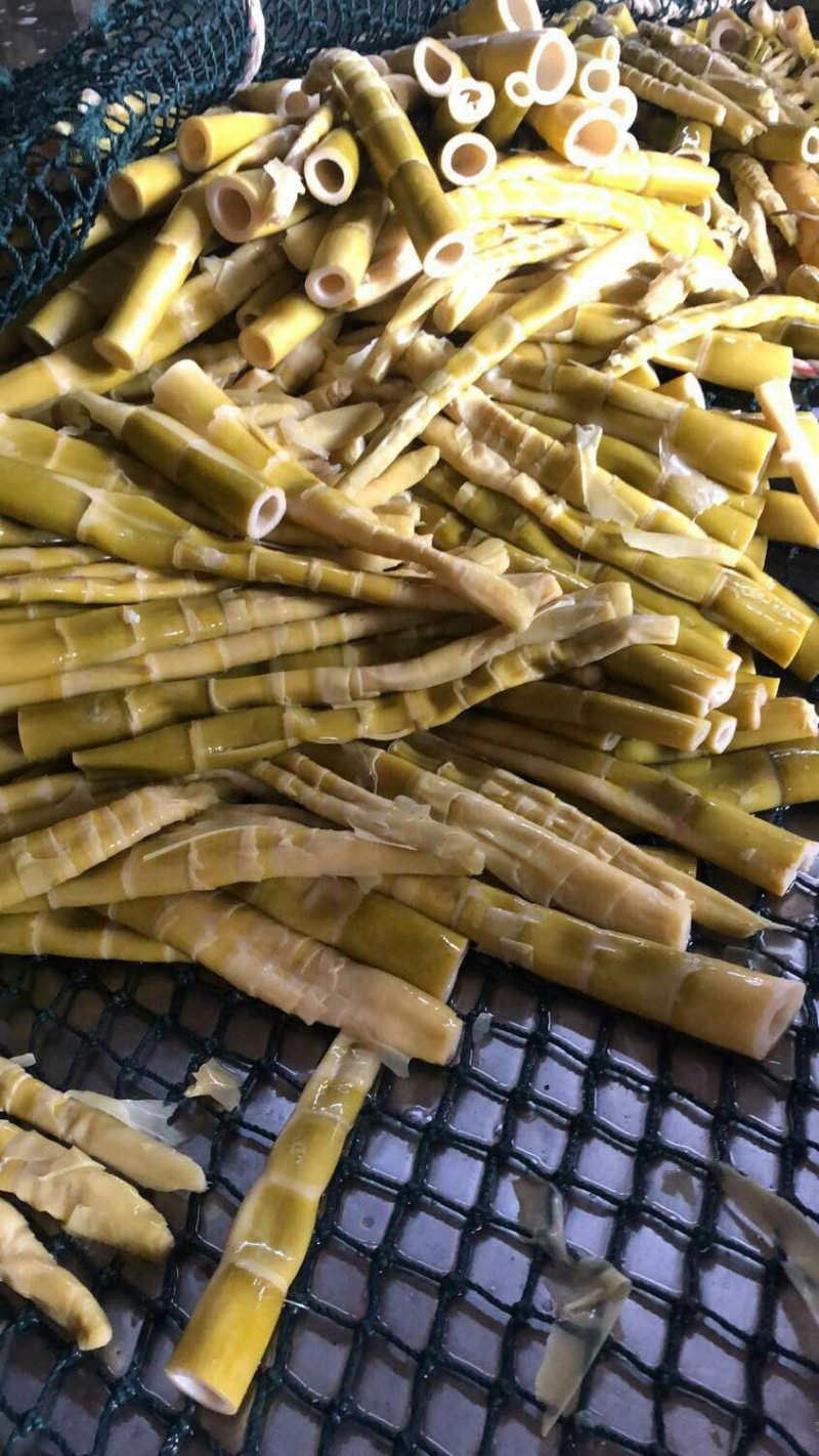 福建笋干新鲜出炉，有质有量，欢迎骚扰