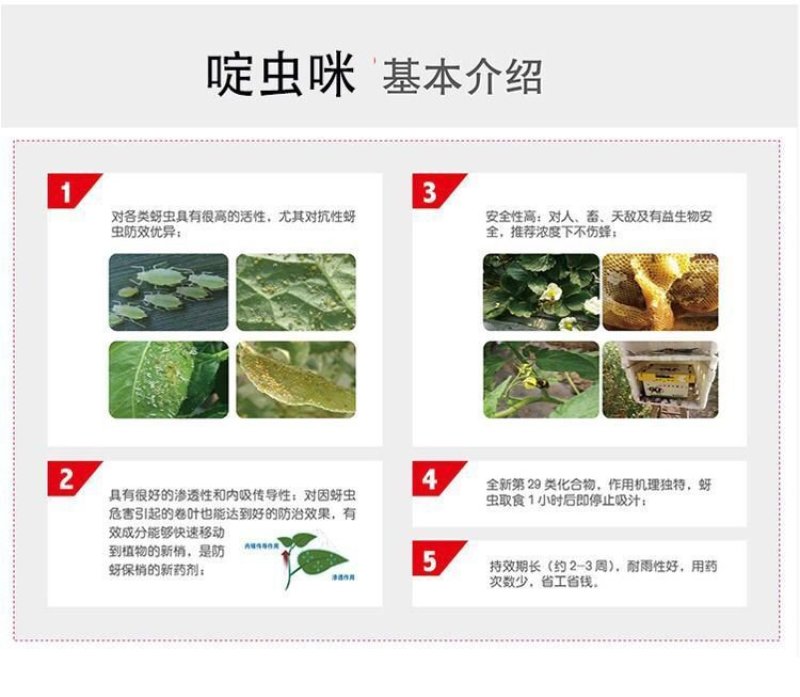 5%啶虫脒杀虫剂抗性蚜虫白粉虱蓟马潜叶蛾盲蝽蟓等
