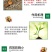 5%啶虫脒杀虫剂抗性蚜虫白粉虱蓟马潜叶蛾盲蝽蟓等