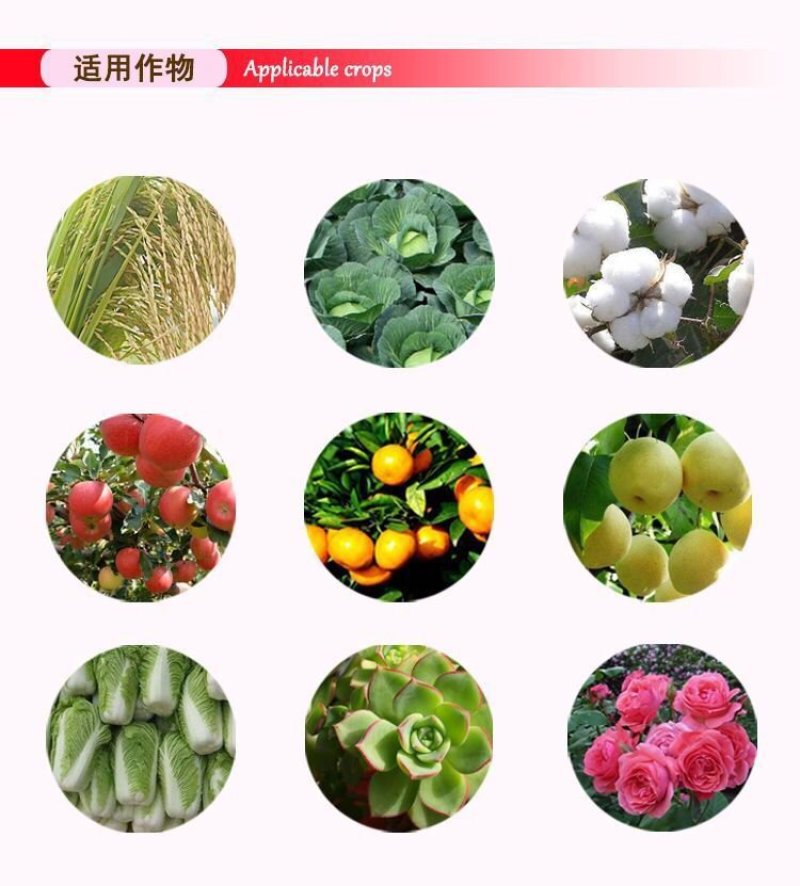 5%啶虫脒杀虫剂抗性蚜虫白粉虱蓟马潜叶蛾盲蝽蟓等