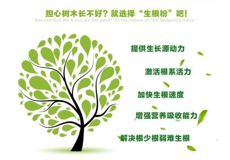 快速生根粉扦插育苗植物通用速效生根剂液大树果树移栽发根