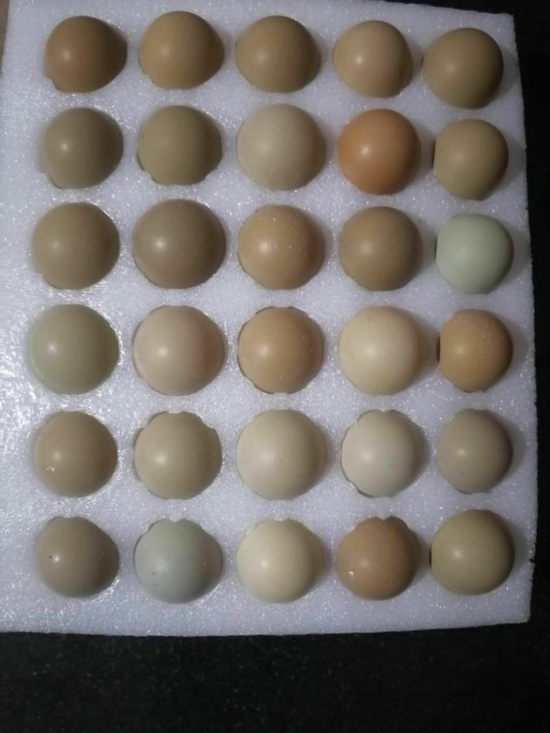 山东野鸡蛋一箱60和1008枚，欢迎选购，农户直发