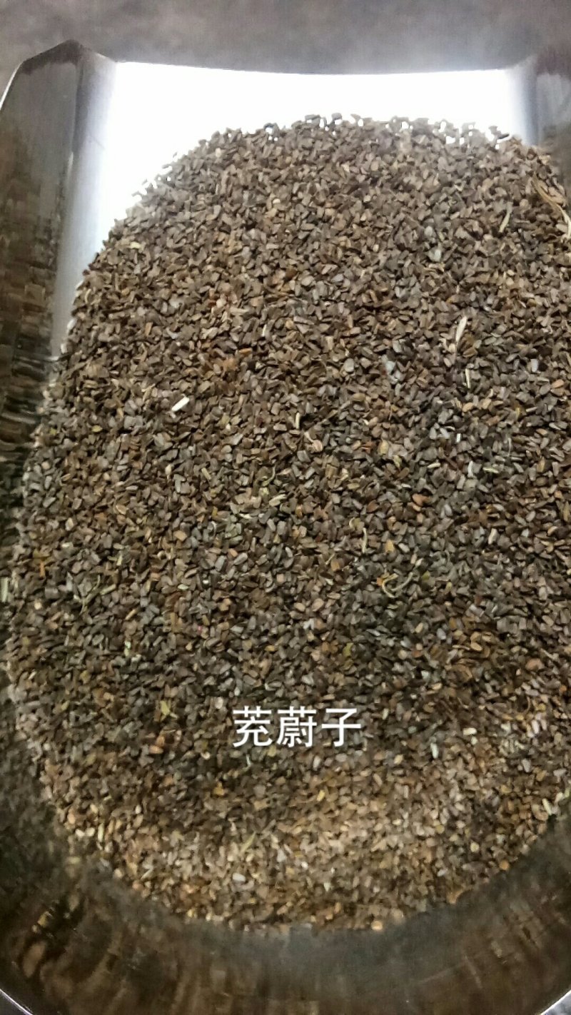 茺蔚子茺蔚籽充蔚子充卫子无硫中药材