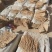 党参—甘肃地产中药材白条党参，产地一手货源。诚信经营