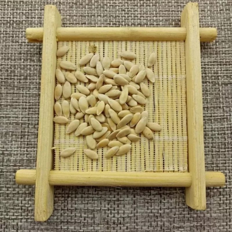 甜瓜子甜瓜籽香瓜子生甜瓜子新货无硫药用非种子
