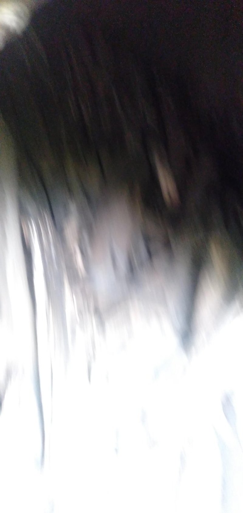原始木炭