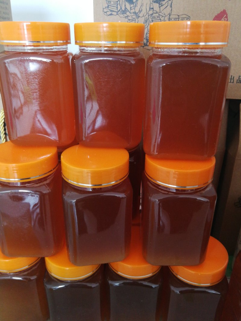 自己家养的蜜蜂，蜂皇浆，试吃装9元