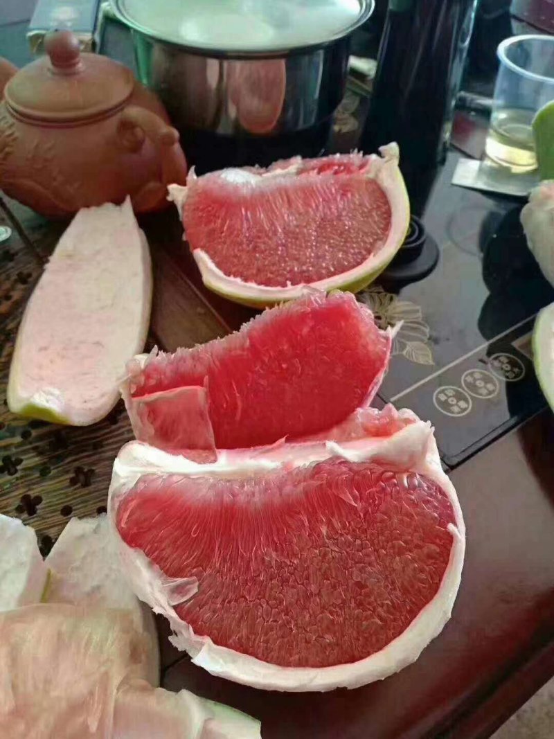包邮嫁接柚子树苗红心蜜柚三红蜜柚红宝石柚南北方种植盆栽地
