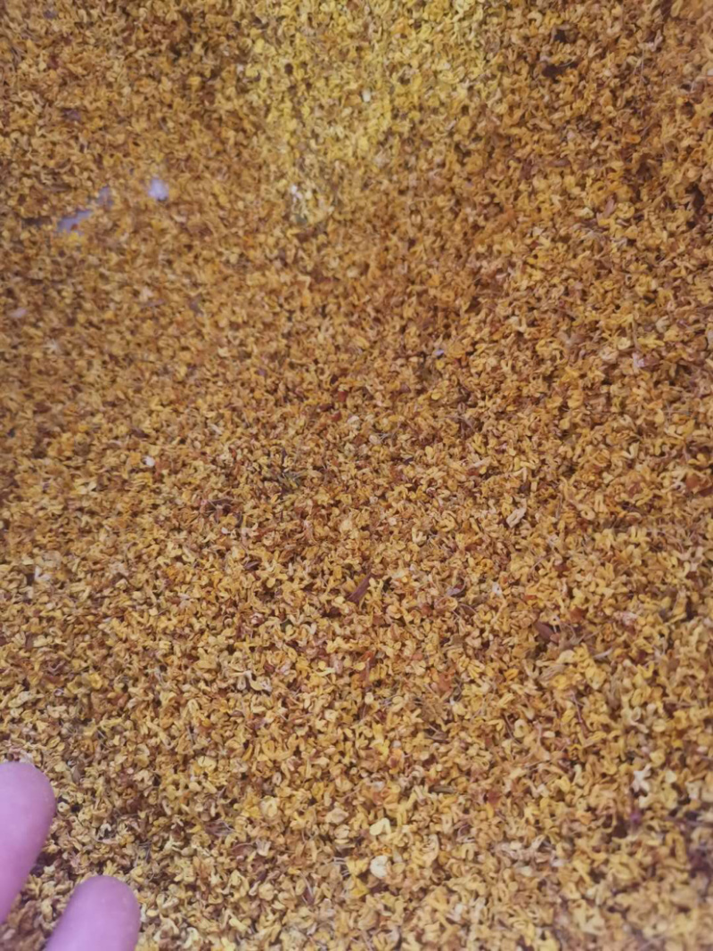 桂花茶香气十足批发各种中药花茶产地直销联系客服