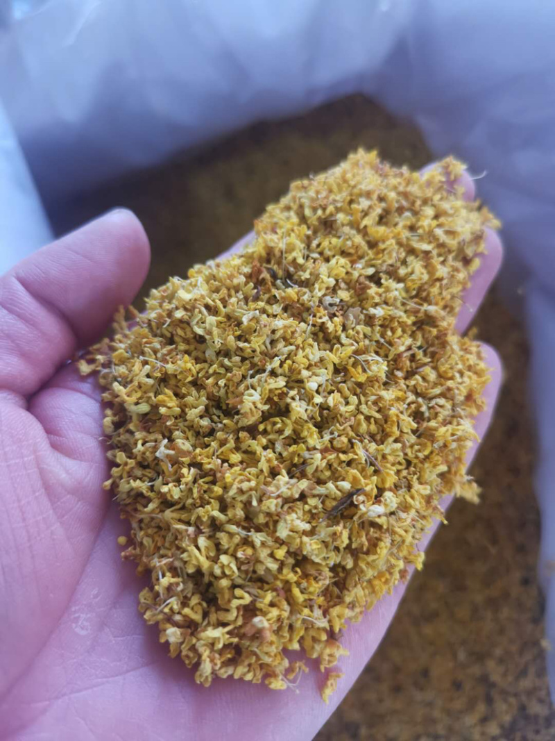 桂花茶香气十足批发各种中药花茶产地直销联系客服