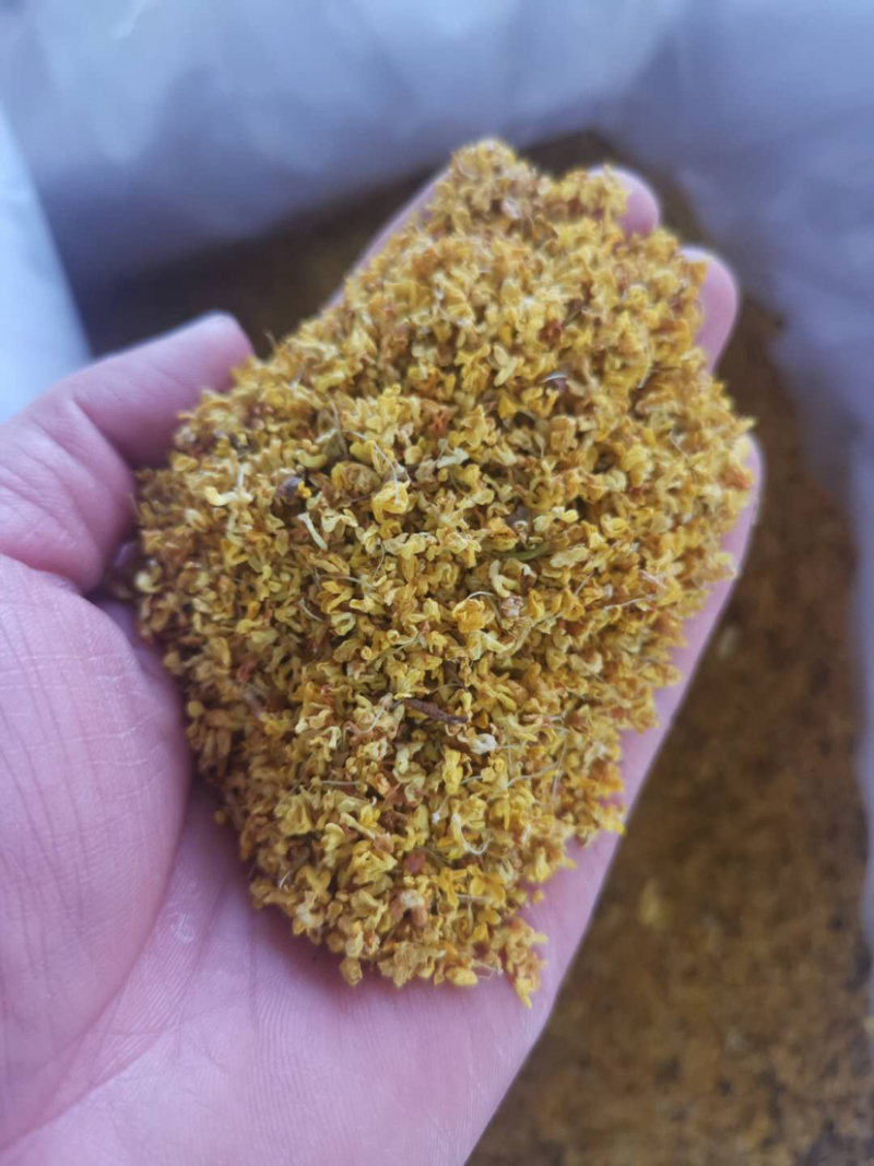 桂花茶香气十足批发各种中药花茶产地直销联系客服