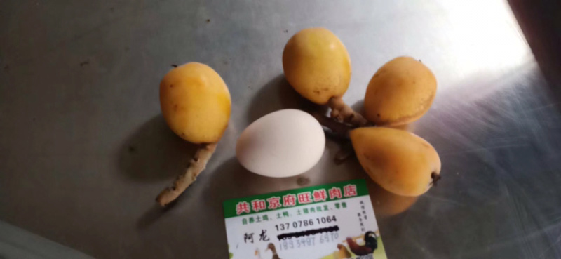 果园枇杷直销