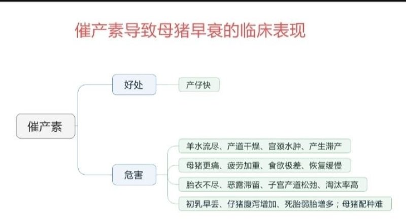 母猪饲料~减少死胎流产，提高仔猪成活率