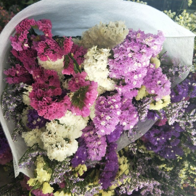 云南勿忘我云南十八怪鲜花论斤卖展会热销鲜花称斤模式包邮